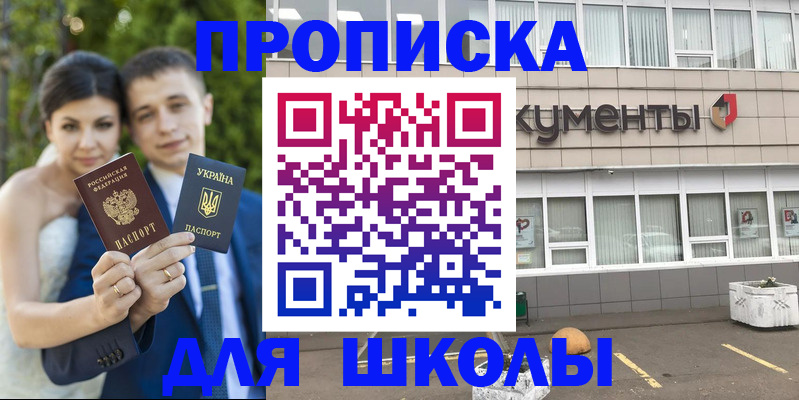 временная регистрация госуслуги в Палласовке